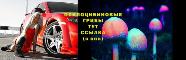 мет Горно-Алтайск