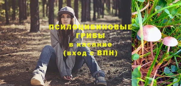 мет Горно-Алтайск