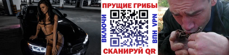 Псилоцибиновые грибы MAGIC MUSHROOMS  mega вход  Заринск 